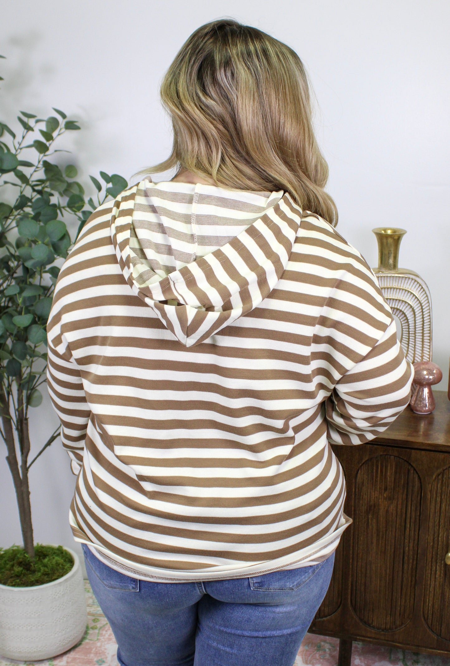 Brown Striped Plus Size Hoodie LT